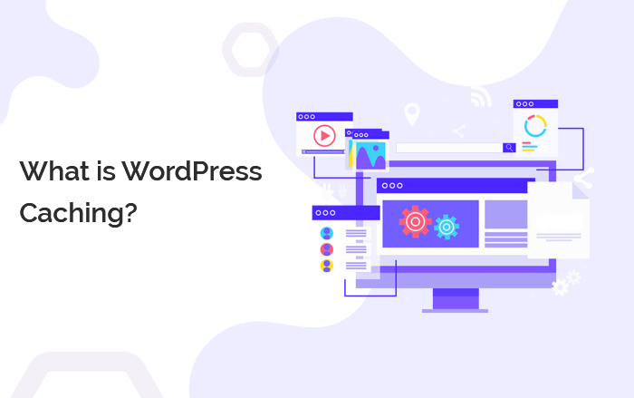 Importance Of WordPress Caching In Speed And Performance Optimization ...