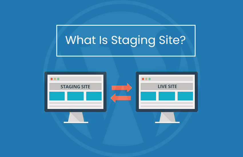 w3speedup staging site